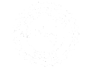 nyss-logo for ppg